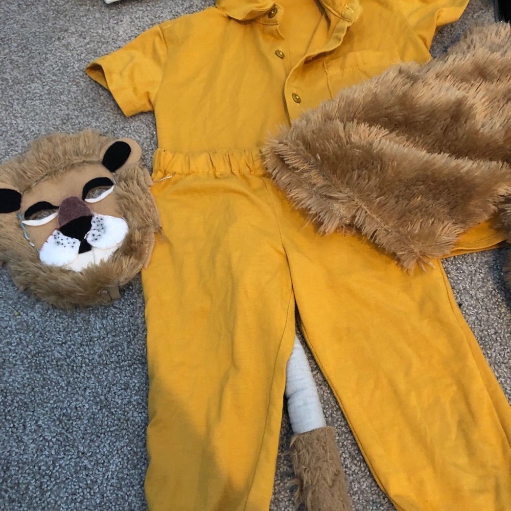 Matching daddy and me lion costume